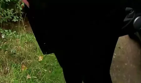 Blondynka nauczyciel oszukał ją w łazience i zgwałcił sex filmy za darmo mamuski ją jego